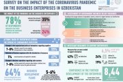 The impact of the coronavirus pandemic on the business enterprises in Uzbekistan