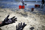 Росгеология Ўзбекистонга янги нефт ва газ конларини очишда ёрдам беради